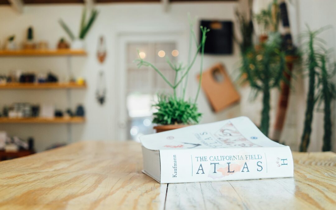 ‘Thinking’ digitally doesn’t work – I’m going analog
